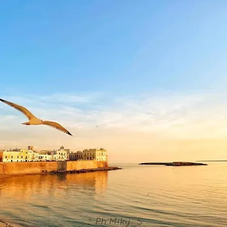 別荘 Casa Stella Marina *