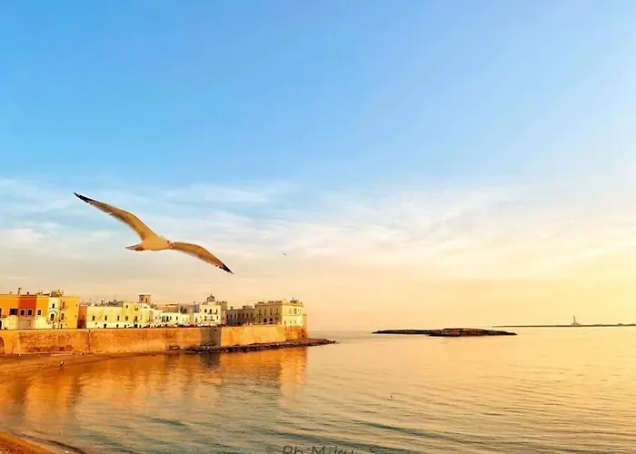 別荘 Casa Stella Marina *